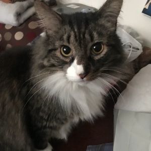 Meet your Posher, Hope